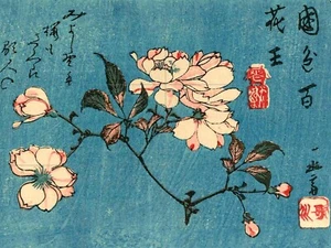 Panel de cerámica de mosaico de flores de cerezo Sakura Hiroshige salpicadero azulejo mural - Imagen 1 de 6