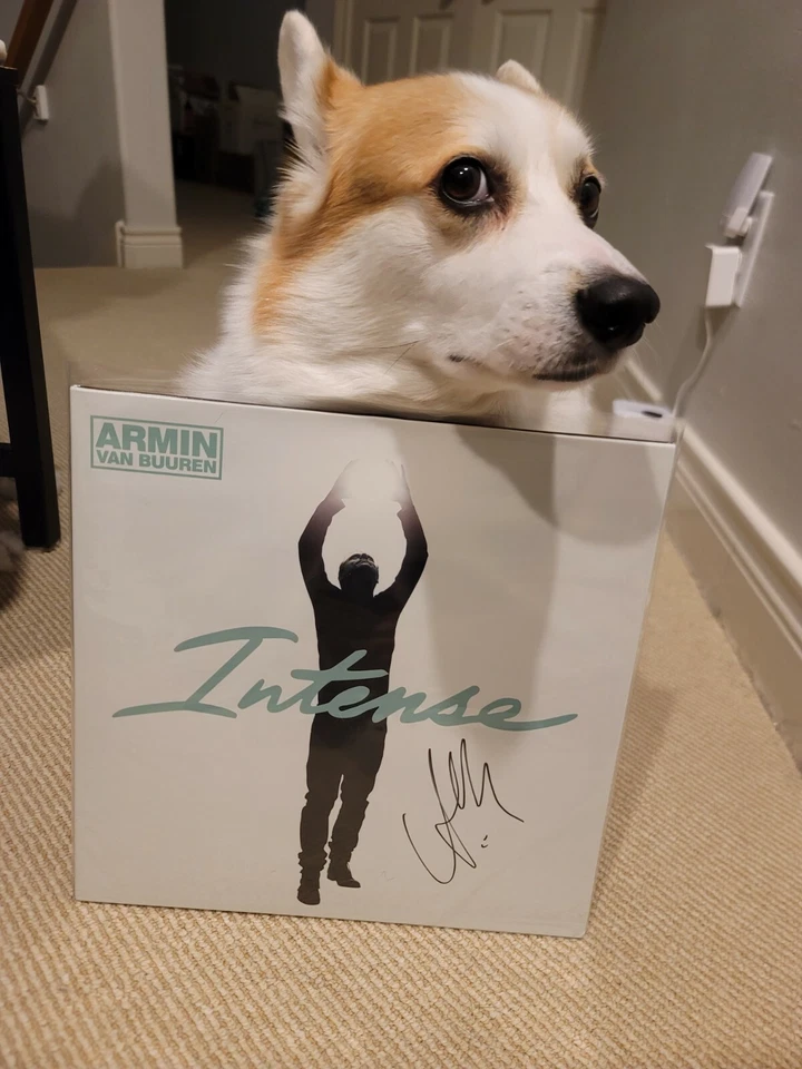 Signed/Autographed  Armin van Buuren – Intense (2 x Vinyl, LP, Album, Reissue) Foto 1 de 1