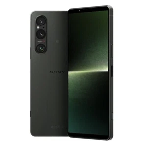 Sony Xperia 1 V - odblokowany - khaki zielony - 256GB - dobry - Zdjęcie 1 z 1