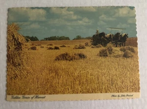 Postal de escena Amish en tiempo de cosecha, norte de Indiana - Imagen 1 de 2