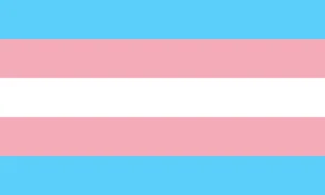 Bandera del Orgullo Transgénero - LGBTQ+ Bandera de Igualdad Trans - Todas las Tallas - Imagen 1 de 7