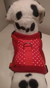 Softgeschirr  Brustgeschirr Hundegeschirr  Halsband XS-M Welpen rot getupft - Bild 1 von 26