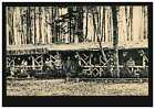Krieg-AK Wald-Kolonie unerer Feldgrauen im Osten (Blockhaus), Feldpost 1917