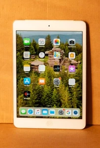 IPAD MINI 2 RETINA CELLULAR ET WIFI 32 GO - Imagen 1 de 5