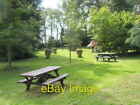 Photo 6x4 Picnic area within the pines area at RHS Wisley  c2008