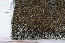 1/16 Metre (35 x 25 cm ) Of Schulte Hedgehog Mohair (about 8 mm Pile)