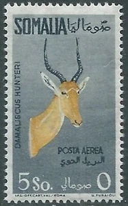 1959 SOMALIA AFIS POSTA AEREA ANIMALI 5 S MNH ** - RD43-6 - Picture 1 of 1