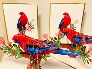 OrigamiPopCards.com LUXURY Crimson Rosella Greeting Up Card Happy Mother's Day