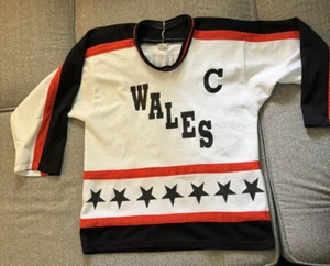 Eric Lindros Wales Conference NHL All Star Ice Hockey Jersey Vintage 23.5"x31" - Picture 1 of 10