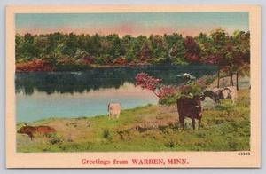 Greetings from Warren Minnesota MN Cows Grazing Near Lake Postcard - Picture 1 of 2