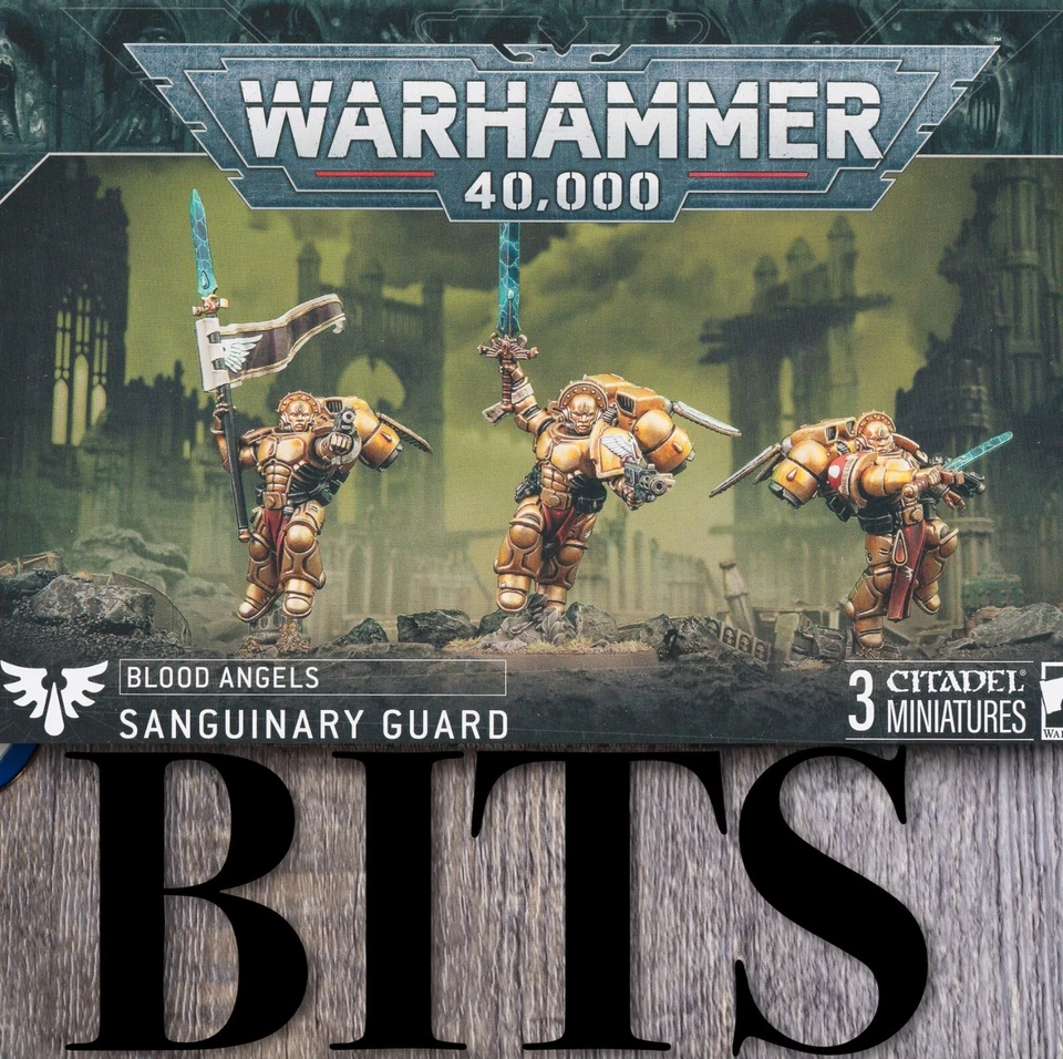 Brocas Warhammer 40K 2024 Primaris Space Marine Blood Angels SANGUINARY GUARD Foto 1 de 1
