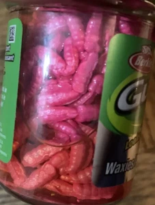 Berkley Gulp Alive Waxies Pink GAJWX-PK 2,0 Unzen Hergestellt in den USA - Bild 1 von 2