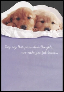 Greeting Card - Dog Puppy Retriever - Get Well - 0602 - Picture 1 of 2