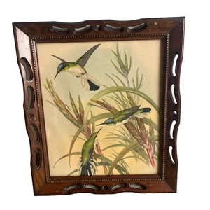 "De colección 1940 Gould Hummingbird arte impresión marco de madera colgante de pared 13,5"" X 25,5""" - Imagen 1 de 3