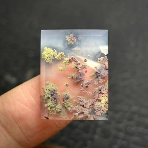 Pequeño cabujón escénico de ágata musgo 20x15x3 mm - Imagen 1 de 4