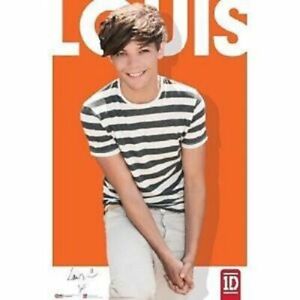 2012 1D ONE DIRECTION LOUIS TOMLINSON POSTER PRINT NEW 22x34 FREE SHIPPING