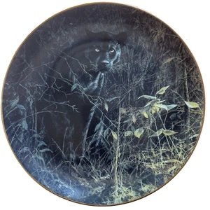 Teller "Black Magic" von John Seerey- Lester Rare Encounters Black Panther Leopard - Bild 1 von 5