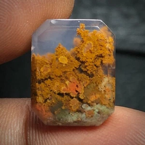 Cabujón de ágata musgo escénico 16x13x5mm alta calidad 10 ct - Imagen 1 de 5