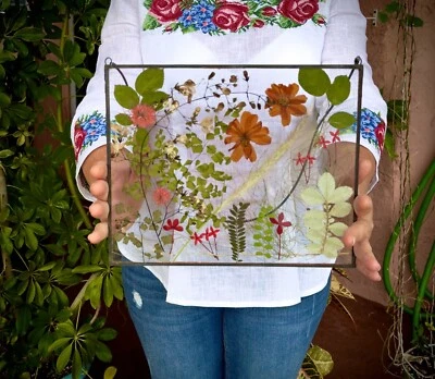 Прессованный цветок искусства, сухой букет цветов, цветок suncatcher, в рамке сухой цветок - Изображение 1 из 4