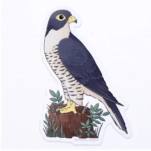 Pegatina Falcon Bird - Vinilo impermeable - Imagen 1 de 2