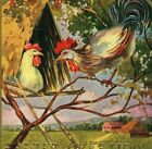 c1910 Gorgeous Chickens Tree House Coop Ladder Farm Country Easter Postcard 5243