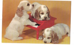 Three PUPPIES Playing Red Toy PIANO Postcard Cream Brown Spaniel Dog Puppy - Picture 1 of 2