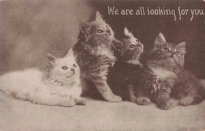 Four Kittens Postcard Greetings PM 1912 F9 - Bild 1 von 2