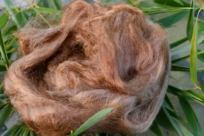 Firestar Golden  One Ounce  29 g Custom Color - Image 1 of 2