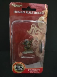 Human Male Rogue Pathfinder Battles Premium Miniatures Wizkids - Picture 1 of 2