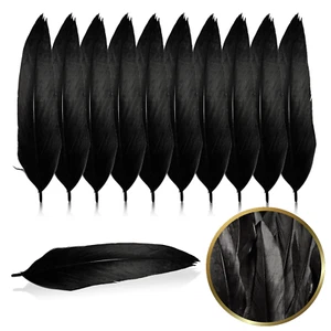 Federn Schwarz Basteln Feder 10cm-13cm 15-18cm Weich Kostüm Traumfänger Karneval - Bild 1 von 4