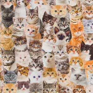 Stoff Meterware Kätzchen Katzen Baumwolle Deko Tischdecke Vorhang - Bild 1 von 7