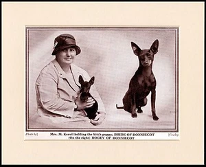 ENGLISH TOY TERRIER AND LADY OWNER LITTLE DOG PHOTO PRINT MOUNTED READY TO FRAME - Picture 1 of 1
