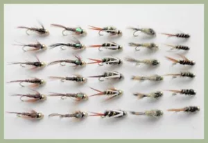 Mosche trota testa d'oro, 30 ninfe testa d'oro con nome, miste 10/12, per pesca a mosca - Foto 1 di 6