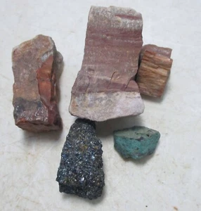 Mixed Specimens for Collection w Hematite Malachite Petrified Wood S1002 - Picture 1 of 5