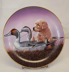 Danbury Mint THE OUTLAW The Sportsmen Yellow Lab Puppy 8"  Plate Philip Crowe - Picture 1 of 1
