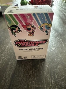 The PowerPuff Girls Mystery Vinyl ULTRA RARE CHASE (HIM) - Picture 1 of 8