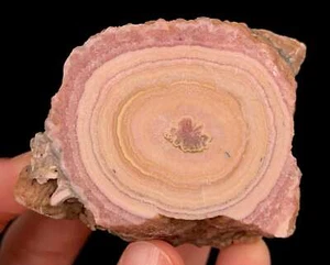 Rodocrosita Cristal Estalactita Rebanada Espécimen, Cristales Crudos y Piedras, 52450 - Imagen 1 de 4