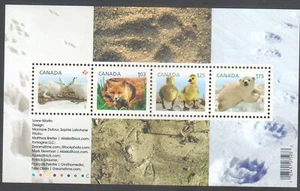 Canada Scott #2424 S/S of 4 Stamps, Baby Wildlife Definitives, 01/17/2011 - Picture 1 of 1