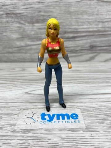 Mattel DC Universe Infinite Heroes Crisis Wonder Girl 3.75” Figure Loose Cover