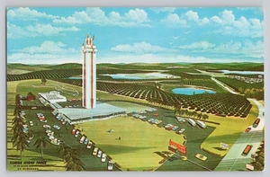 Florida Citrus Tower Clermont Fla Citrus Belt Observation Postcard - Picture 1 of 2