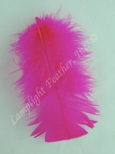 Fuchsia Craft Feathers Turkey Plumage per one ounce package - Picture 1 of 1