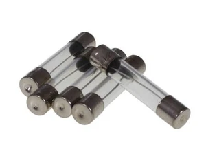 5x Glassicherung 30x6mm 10A Feinsicherung Sicherung für Batterie AGM REX Roller - Bild 1 von 6