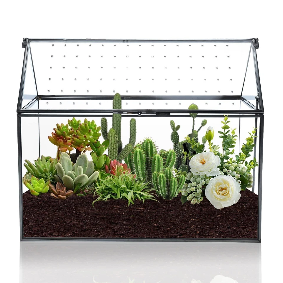 9.2" Large Terrarium Planter, Tabletop Miniature Flower Pot for Succulent Cacti - Image 1 of 4