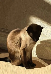 Nera in the Sun - Impresión Giclée Edición Limitada - Varios tamaños, sin marco - Imagen 1 de 5