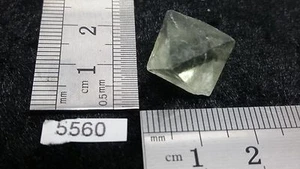 FLUORIT Oktaeder - Stein Mineralien Lithotherapie Sammlung Reiki Geologie - Bild 1 von 1