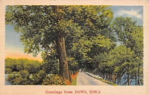 Postal de lino Greetings From Dows Iowa Tree Forred Country Road años 40 - Imagen 1 de 2