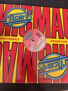 Zorrock This Is The Way 12"1990 MIC MAC MIC536 Freestyle House - Imagen 1 de 4