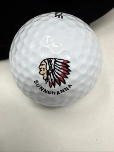 Sunnehanna Country Club (Pennsylvania) Vintage Older Logo Golf Ball - Picture 1 of 3