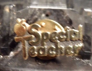 GEBRAUCHTE "SPEZIALLEHRER" ANSTECKNADEL (61016) - Bild 1 von 2