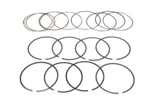 Piston Ring Kit DNJ PR932 - Picture 1 of 3